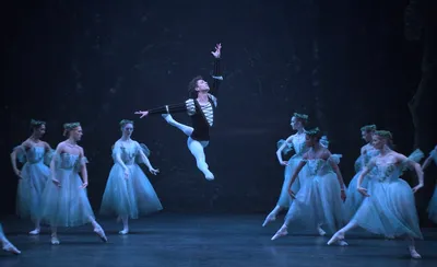 Giselle