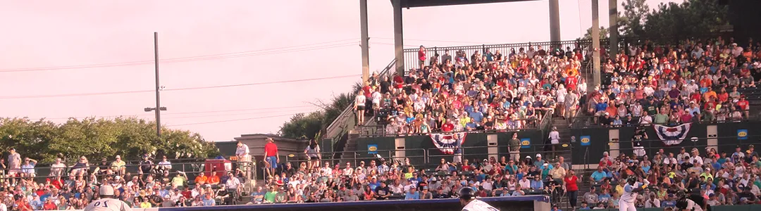 Myrtle Beach Pelicans